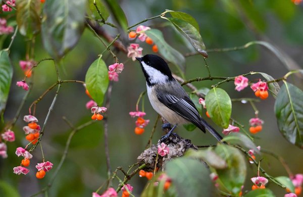 Quels sont les enjeux d'une formation en gestion environnementale pour les directeurs d'usine?